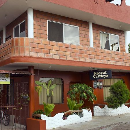 Hostal Cattleya Puerto Baquerizo Moreno Ngoại thất bức ảnh