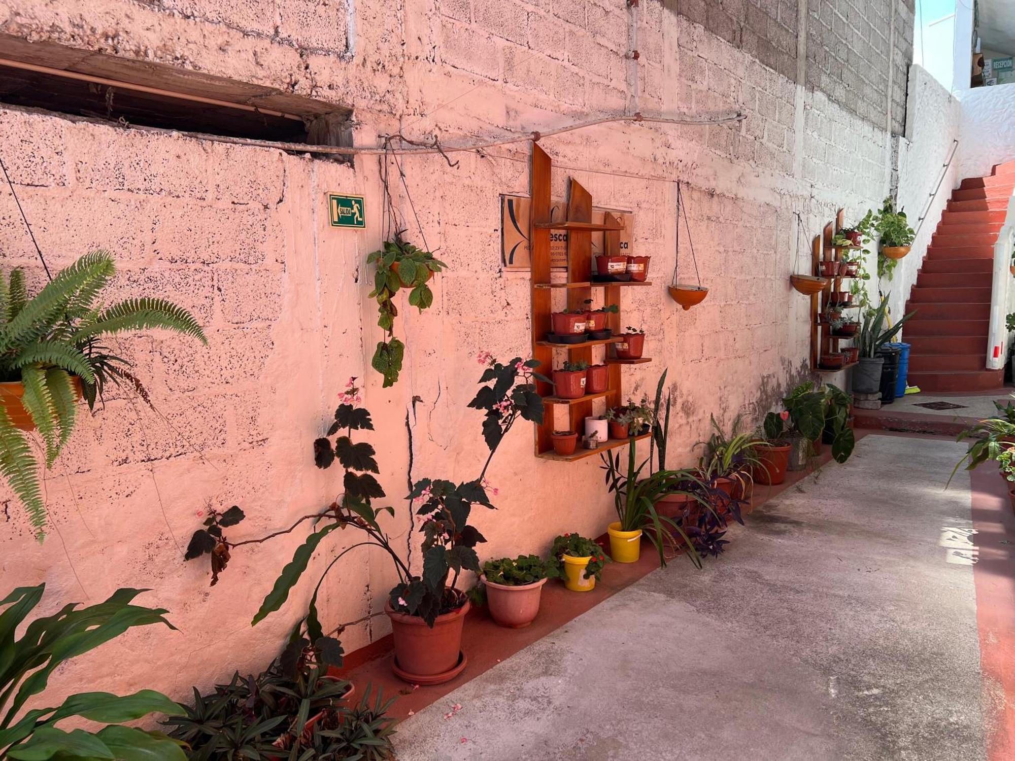 Hostal Cattleya Puerto Baquerizo Moreno Ngoại thất bức ảnh