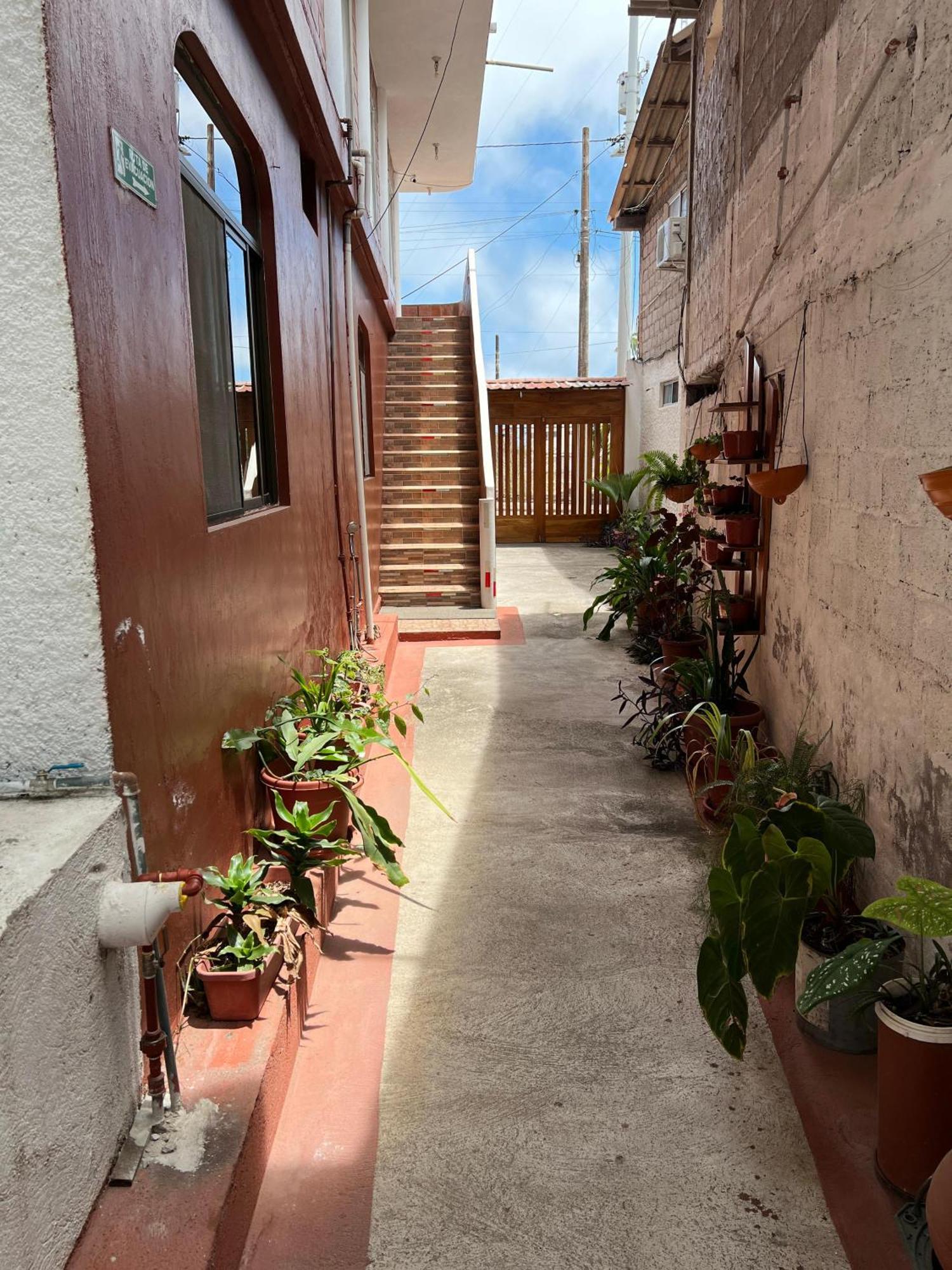 Hostal Cattleya Puerto Baquerizo Moreno Ngoại thất bức ảnh