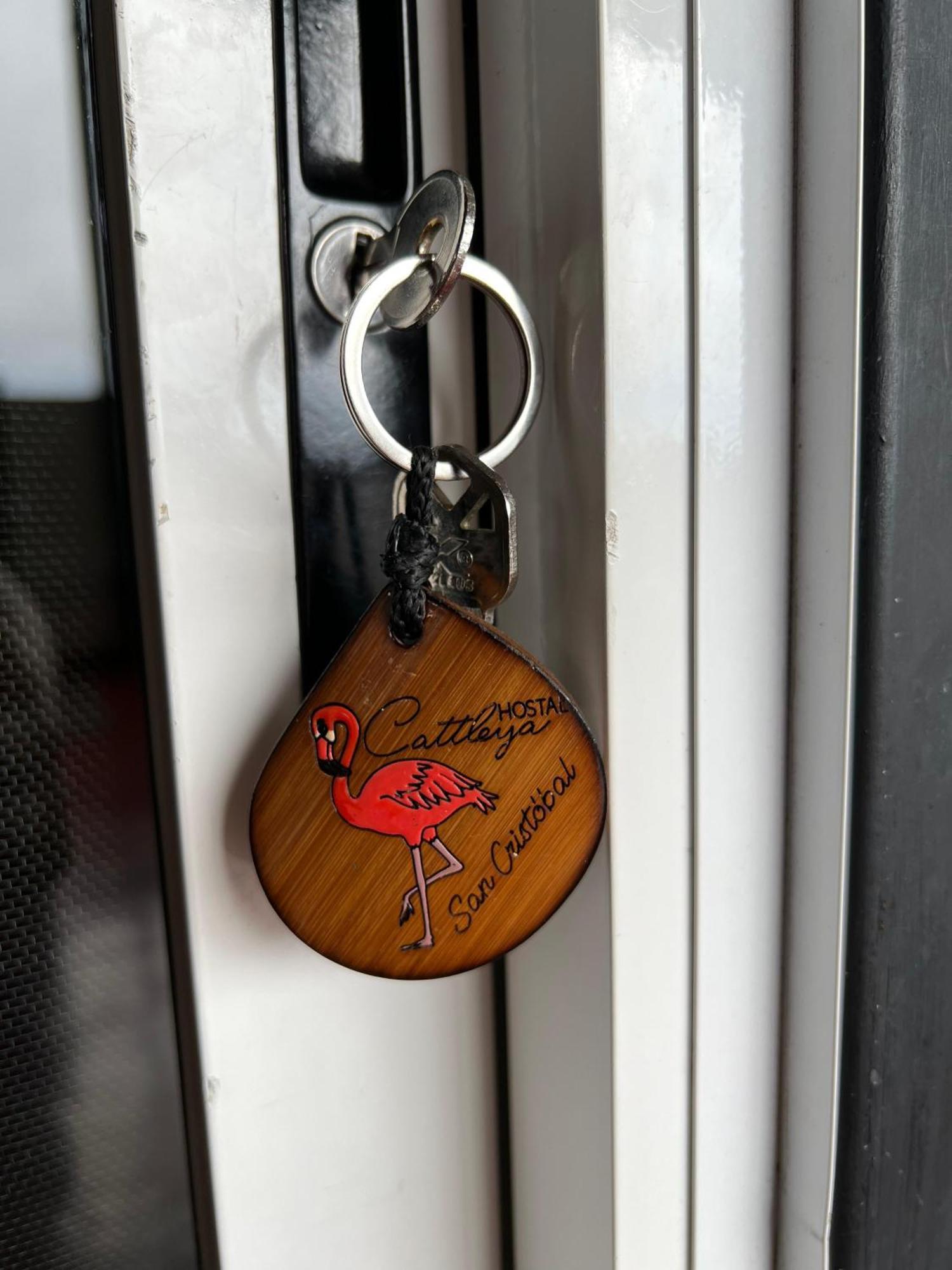 Hostal Cattleya Puerto Baquerizo Moreno Phòng bức ảnh
